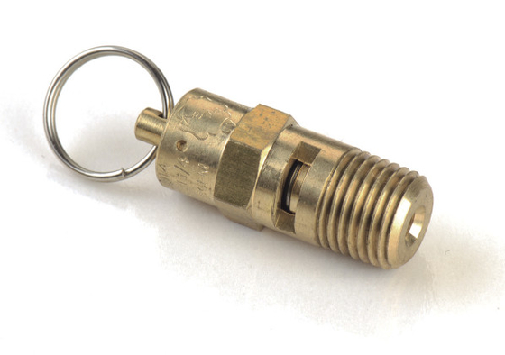 Good price 1/4 NPT Suspension Onboard Air Systems Air Compressor Fittings Copper PSI Safety Valve online